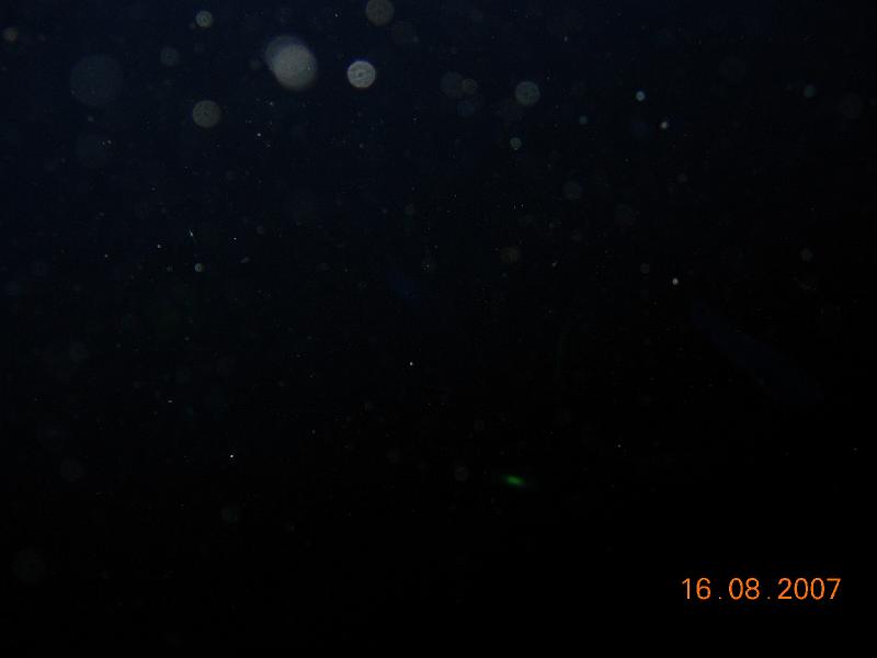 DSCN5785